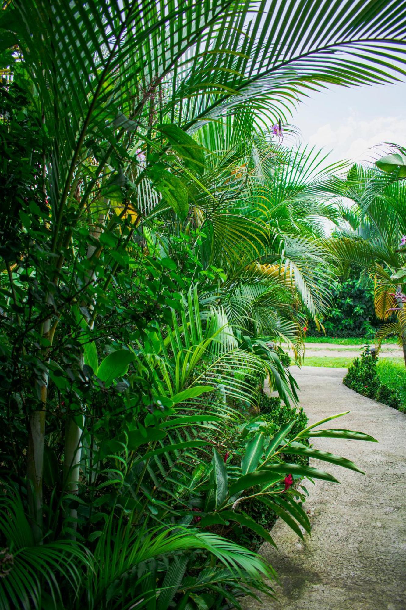 Arenal Descanso La Fortuna Exterior photo